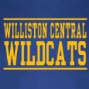 Link to Williston Central School website