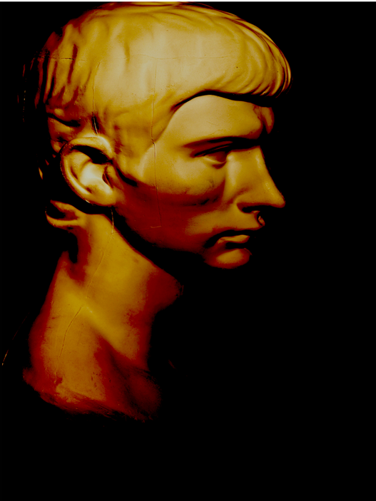 Bust