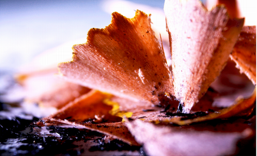 Shavings