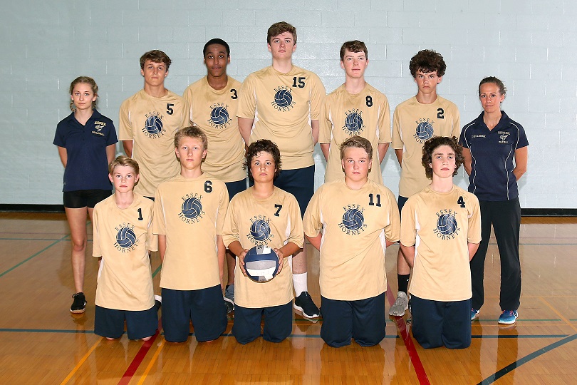JV GOLD BOYS 2018